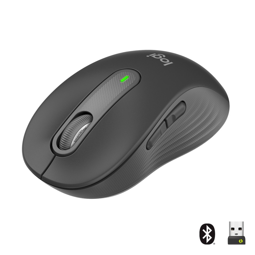 MOUSE LOGITECH M650 SIGN. L GRAPHITE