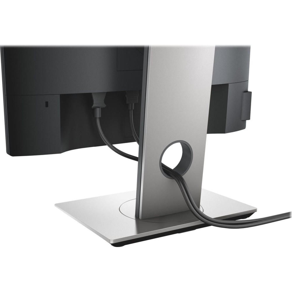 Dell Monitor P1917S 19