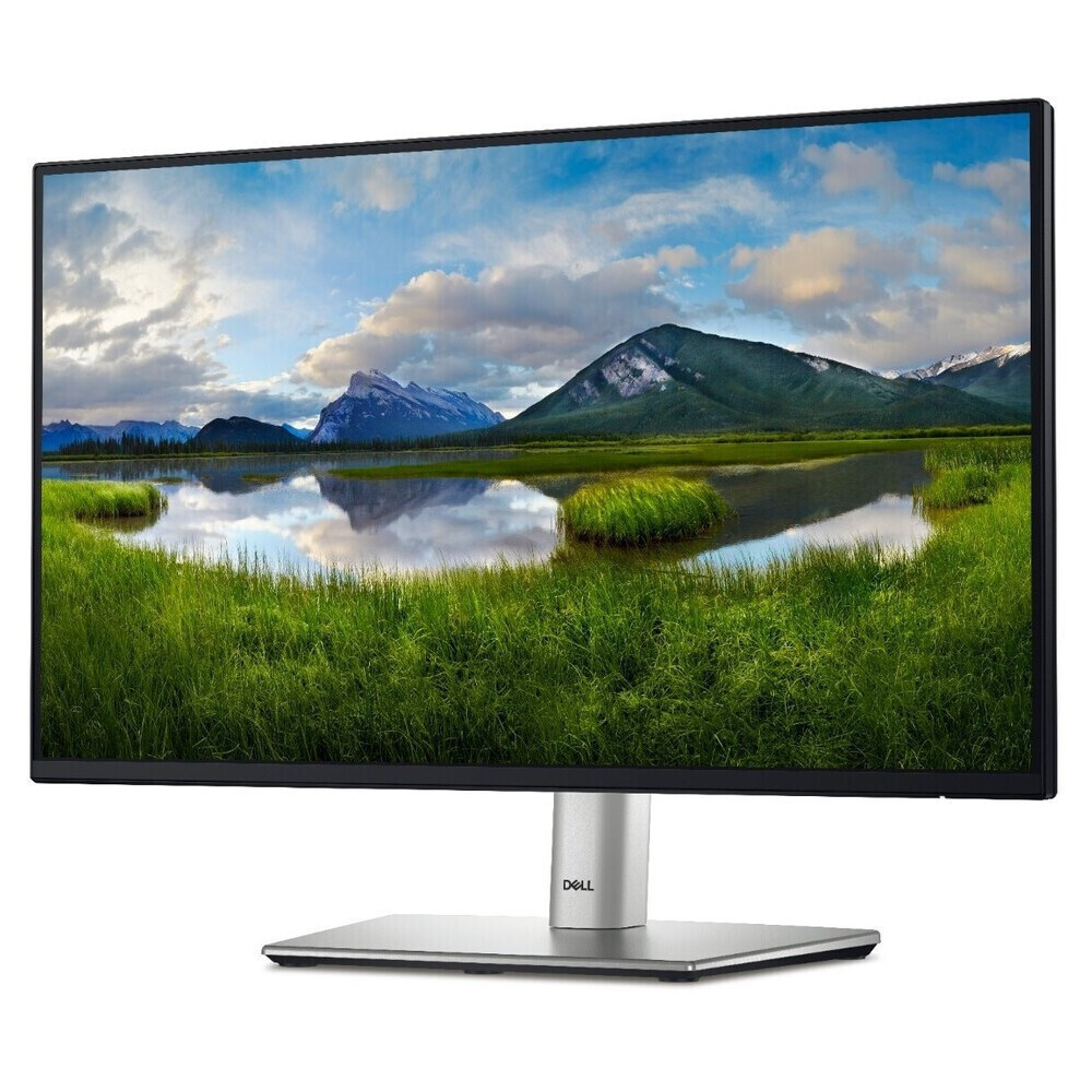 Dell Monitor P2225H 22