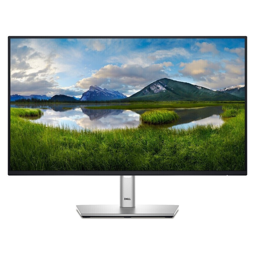 DELL P Series P2425HE computer monitor 61 cm (24