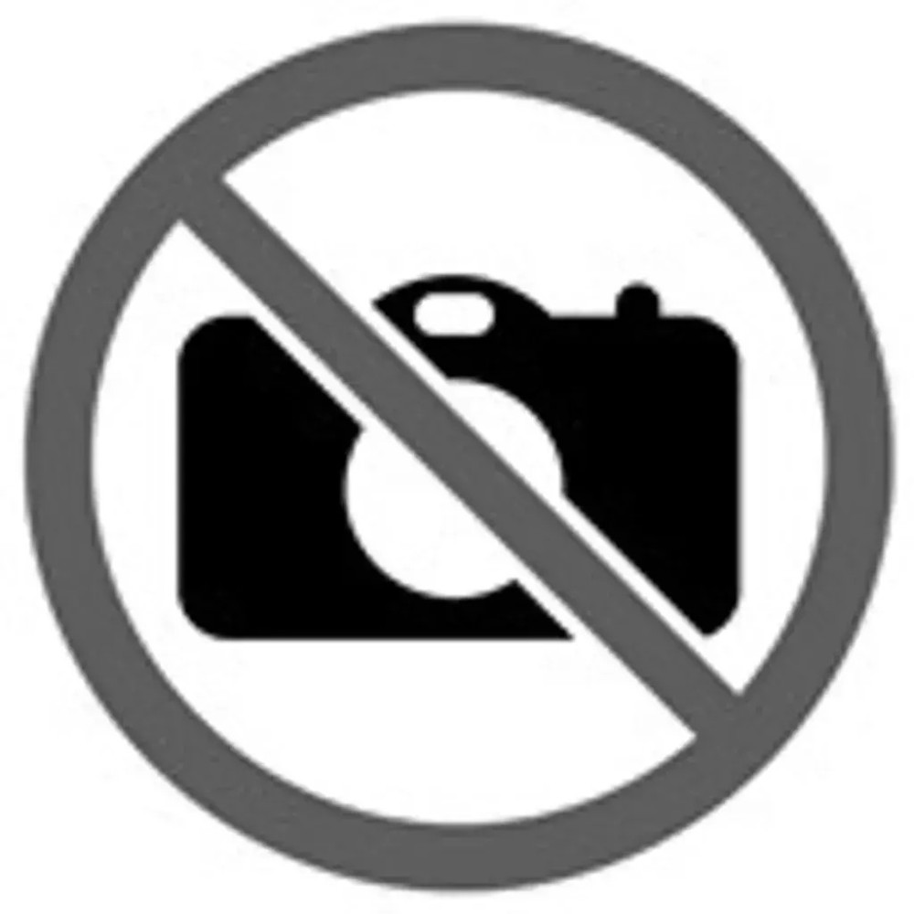 DELL EC24250 Intel Core 7 150U 60.5 cm (23.8